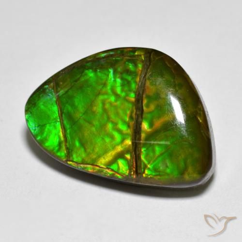 Ammolite Multicolore naturale da 12.75 ct, Taglio a fantasia, Opaco