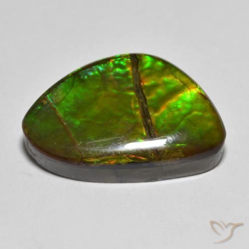 Ammolite Multicolore naturale da 12.75 ct, Taglio a fantasia, Opaco