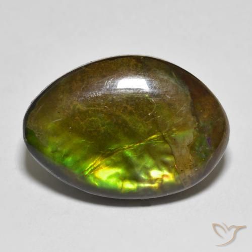 11.56ct Naturale Multicolore Ammolite, Taglio a fantasia, Opaco
