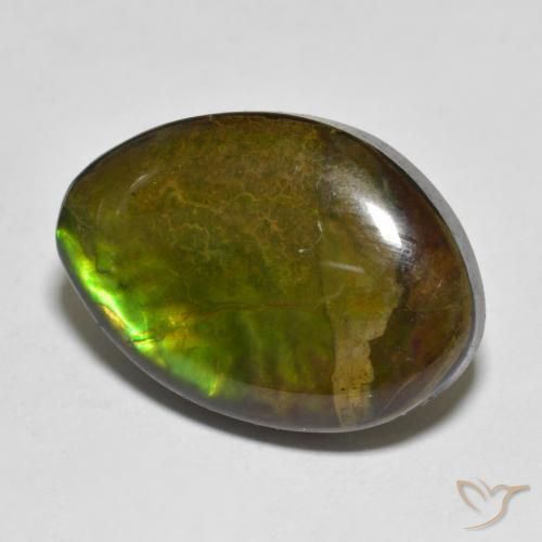 Ammolite Multicolore naturale da 11.56 ct, Taglio a fantasia, Opaco