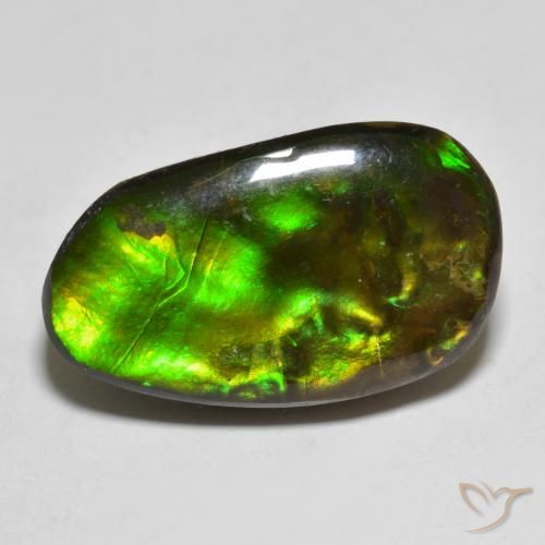 13.25ct Naturale Multicolore Ammolite, Taglio a fantasia, Opaco