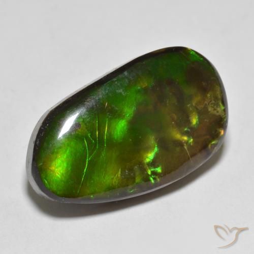 Ammolite Multicolore naturale da 13.25 ct, Taglio a fantasia, Opaco