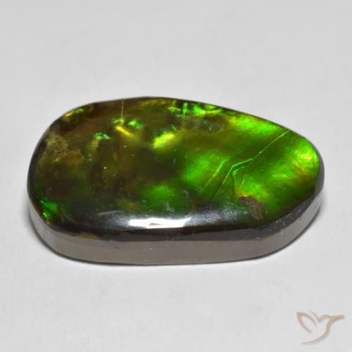 Ammolite Multicolore naturale da 13.25 ct, Taglio a fantasia, Opaco