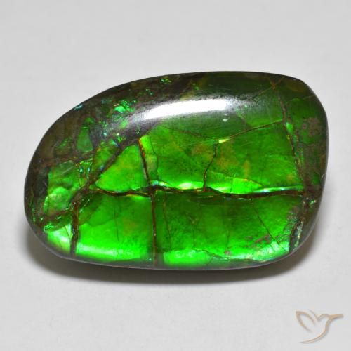 16.43ct Naturale Multicolore Ammolite, Taglio a fantasia, Opaco