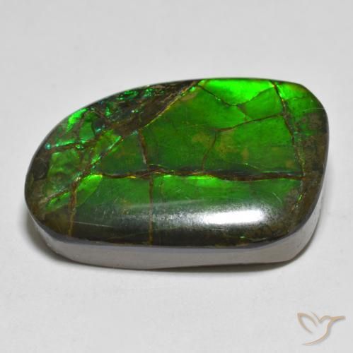 Ammolite Multicolore naturale da 16.43 ct, Taglio a fantasia, Opaco