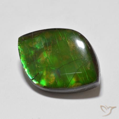 Ammolite Multicolore naturale da 10.24 ct, Taglio a fantasia, Opaco