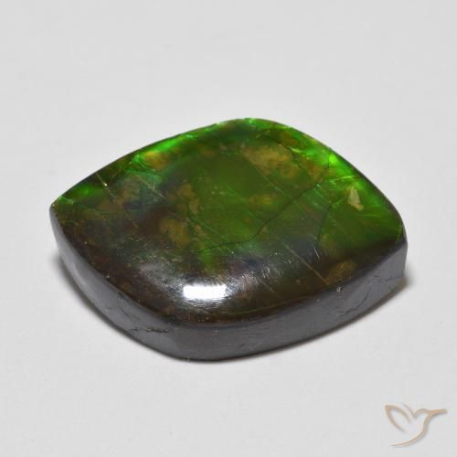 Ammolite Multicolore naturale da 10.24 ct, Taglio a fantasia, Opaco