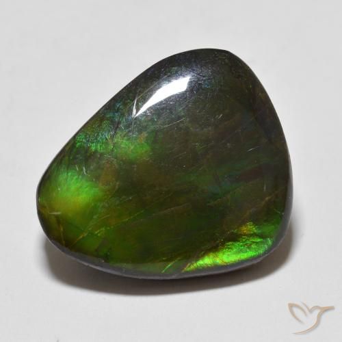 12.93ct Naturale Multicolore Ammolite, Taglio a fantasia, Opaco