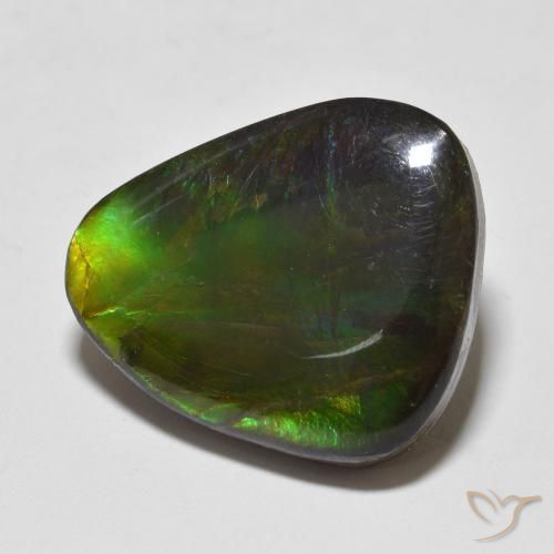 Ammolite Multicolore naturale da 12.93 ct, Taglio a fantasia, Opaco
