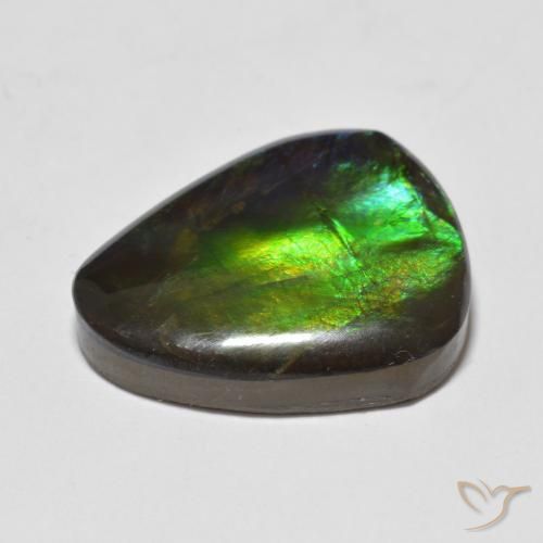 Ammolite Multicolore naturale da 12.93 ct, Taglio a fantasia, Opaco