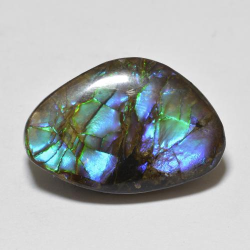 Ammolite Multicolore naturale da 10.90 ct, Forma fantasia, Opaco