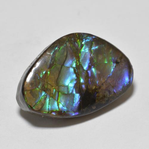 Ammolite Multicolore naturale da 10.90 ct, Forma fantasia, Opaco