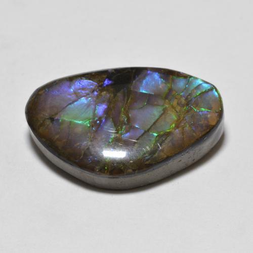 Ammolite Multicolore naturale da 10.90 ct, Forma fantasia, Opaco