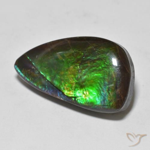 11.99ct Naturale Multicolore Ammolite, Taglio a fantasia, Opaco