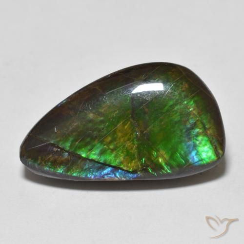 Ammolite Multicolore naturale da 11.99 ct, Taglio a fantasia, Opaco