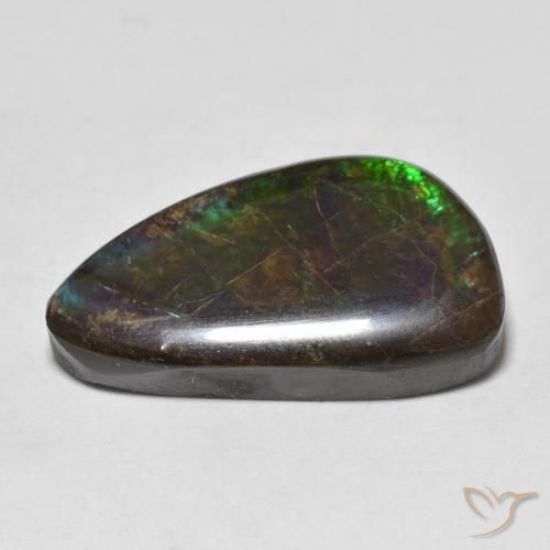 Ammolite Multicolore naturale da 11.99 ct, Taglio a fantasia, Opaco