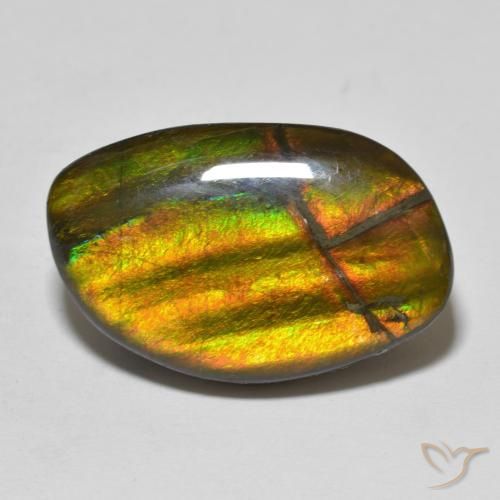 11.86ct Naturale Multicolore Ammolite, Taglio a fantasia, Opaco