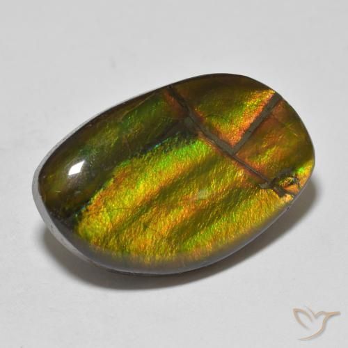 Ammolite Multicolore naturale da 11.86 ct, Taglio a fantasia, Opaco