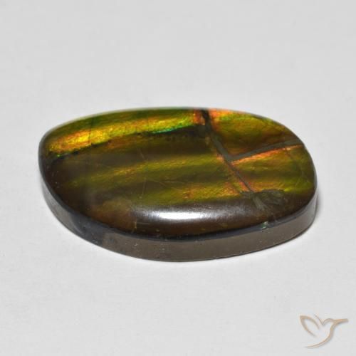 Ammolite Multicolore naturale da 11.86 ct, Taglio a fantasia, Opaco