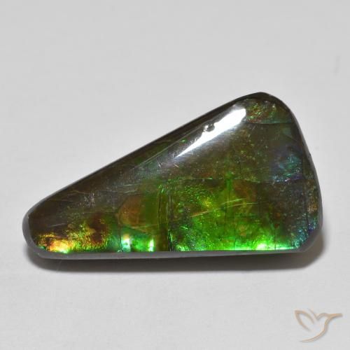 13.74ct Naturale Multicolore Ammolite, Taglio a fantasia, Opaco