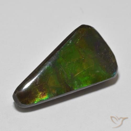 Ammolite Multicolore naturale da 13.74 ct, Taglio a fantasia, Opaco