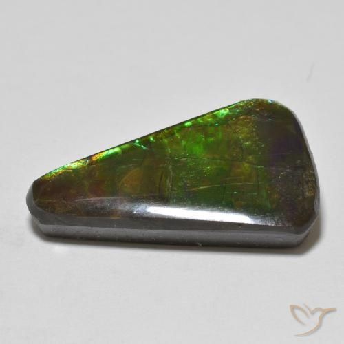 Ammolite Multicolore naturale da 13.74 ct, Taglio a fantasia, Opaco
