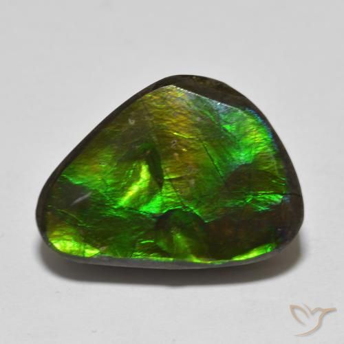 13.90ct Naturale Multicolore Ammolite, Taglio a fantasia, Opaco