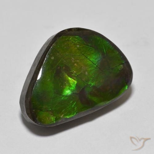 Ammolite Multicolore naturale da 13.90 ct, Taglio a fantasia, Opaco