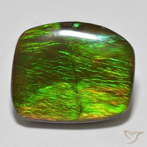 18.23ct Naturale Multicolore Ammolite, Taglio a fantasia, Opaco
