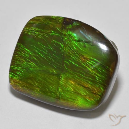 Ammolite Multicolore naturale da 18.23 ct, Taglio a fantasia, Opaco