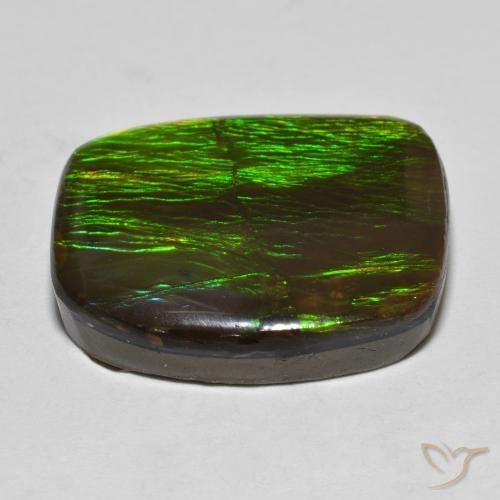 Ammolite Multicolore naturale da 18.23 ct, Taglio a fantasia, Opaco