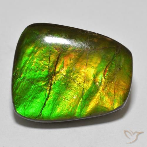 15.03ct Naturale Multicolore Ammolite, Taglio a fantasia, Opaco