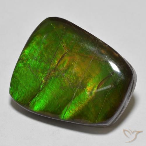 Ammolite Multicolore naturale da 15.03 ct, Taglio a fantasia, Opaco