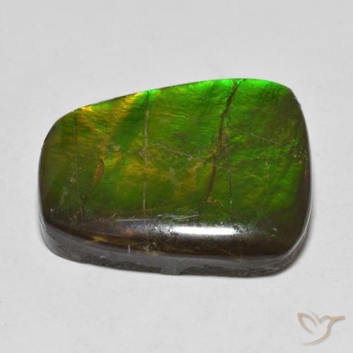 Ammolite Multicolore naturale da 15.03 ct, Taglio a fantasia, Opaco
