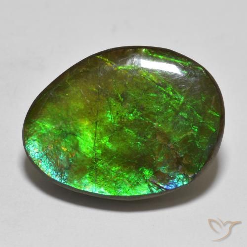 16.14ct Naturale Multicolore Ammolite, Taglio a fantasia, Opaco