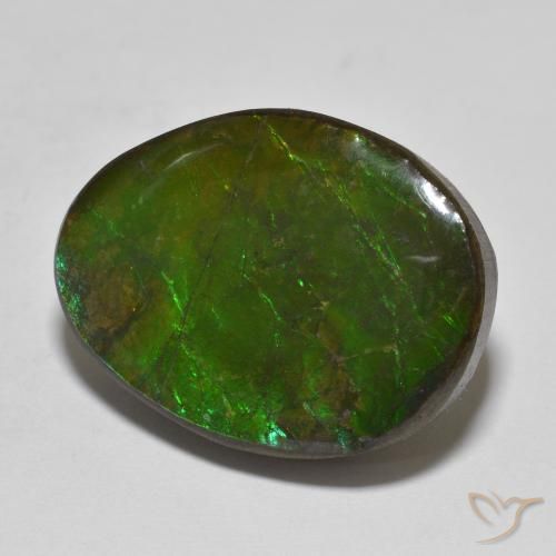 Ammolite Multicolore naturale da 16.14 ct, Taglio a fantasia, Opaco