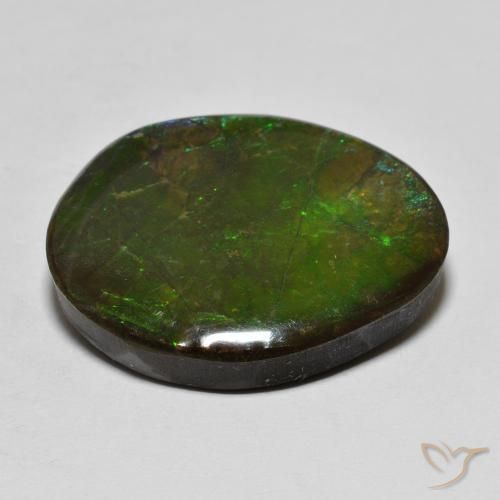 Ammolite Multicolore naturale da 16.14 ct, Taglio a fantasia, Opaco