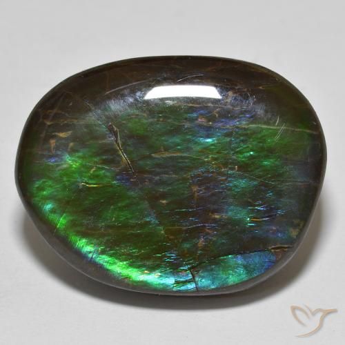 19.98ct Naturale Multicolore Ammolite, Taglio a fantasia, Opaco