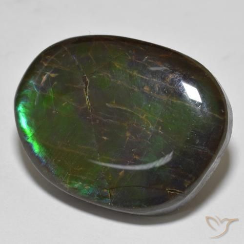 Ammolite Multicolore naturale da 19.98 ct, Taglio a fantasia, Opaco