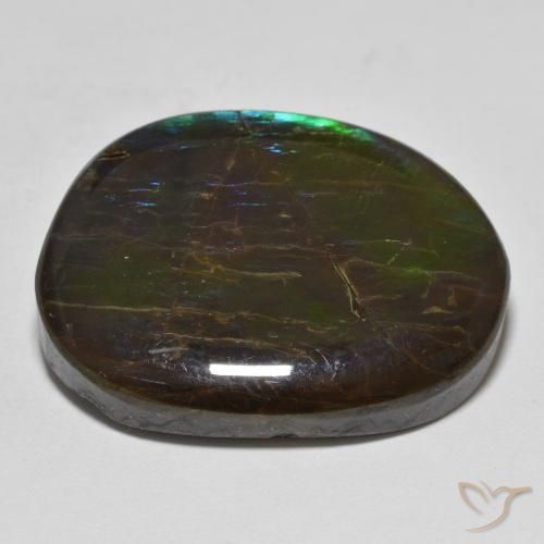 Ammolite Multicolore naturale da 19.98 ct, Taglio a fantasia, Opaco