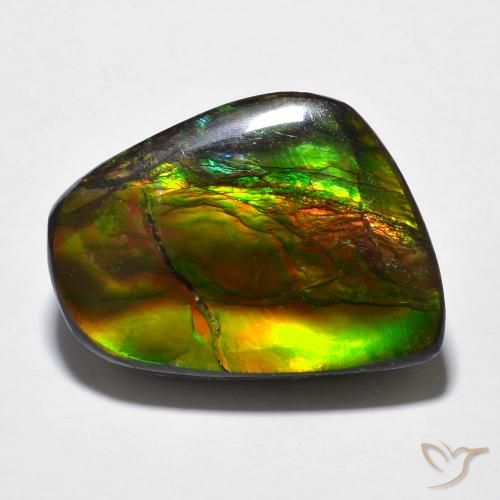 16.94ct Naturale Multicolore Ammolite, Taglio a fantasia, Opaco
