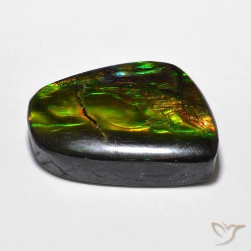 Ammolite Multicolore naturale da 16.94 ct, Taglio a fantasia, Opaco