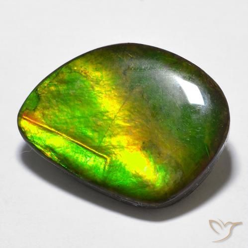 11.97ct Naturale Multicolore Ammolite, Taglio a fantasia, Opaco
