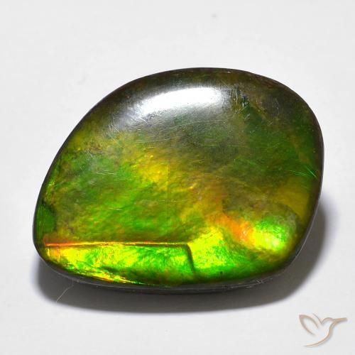 Ammolite Multicolore naturale da 11.97 ct, Taglio a fantasia, Opaco