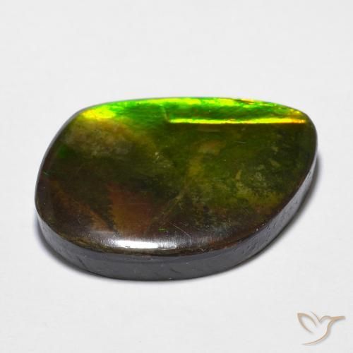 Ammolite Multicolore naturale da 11.97 ct, Taglio a fantasia, Opaco