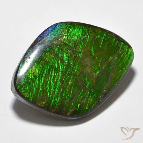 Ammolite Multicolore naturale da 14.32 ct, Taglio a fantasia, Opaco