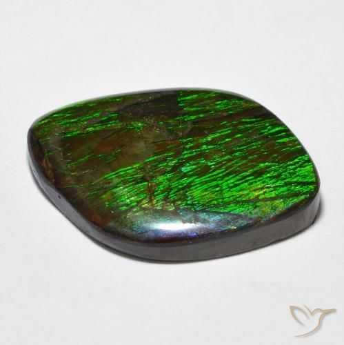Ammolite Multicolore naturale da 14.32 ct, Taglio a fantasia, Opaco