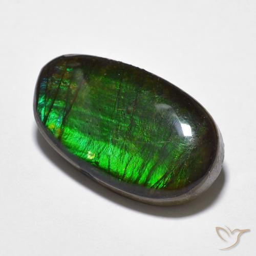 Ammolite Multicolore naturale da 11.20 ct, Taglio a fantasia, Opaco