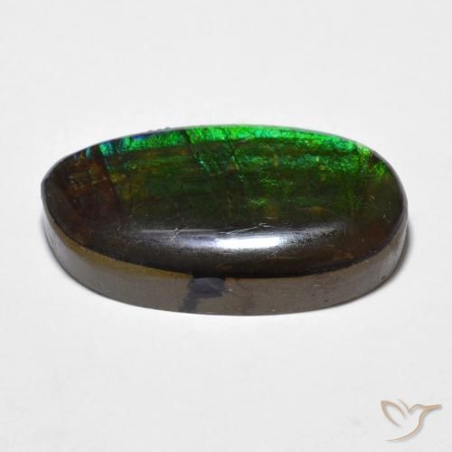 Ammolite Multicolore naturale da 11.20 ct, Taglio a fantasia, Opaco