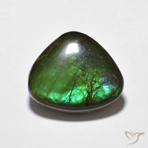 10.69ct Naturale Multicolore Ammolite, Taglio a fantasia, Opaco